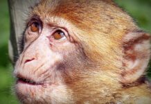 W jakim świetle wygląda się najlepiej?