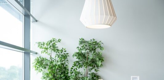 Czy można wejść z psem do IKEA?