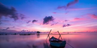 Jaki kolor dla chłopców?