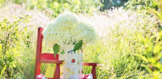 Jaki Bujak dla 3 miesięcznego dziecka?