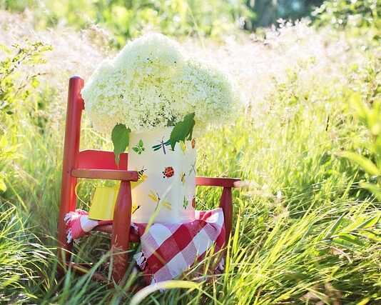 Jaki Bujak dla 3 miesięcznego dziecka?