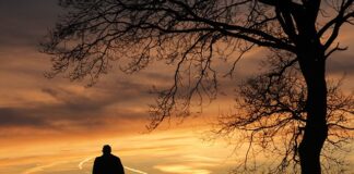 Czy we Włoszech jest cisza nocna? Czy we Włoszech jest cisza nocna?