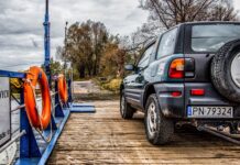 Czy można przewozić psa na kolanach?