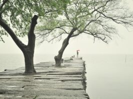 Jak połączyć dwie płyty meblowe?