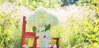 Czy warto kupić Bujak Montessori?