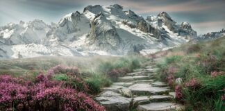 Gdzie kupić kamienie do biżuterii? Gdzie kupić kamienie do biżuterii?