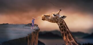 Co to znaczy karmienie na żądanie?