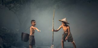 Czego nie lubią ryby?