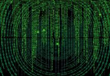 Co grozi za kradzież 1000 zł?