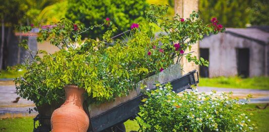 Po co rzep w butach narciarskich?