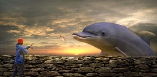 Jaką grubość żyłki do bransoletek? Jaką grubość żyłki do bransoletek?