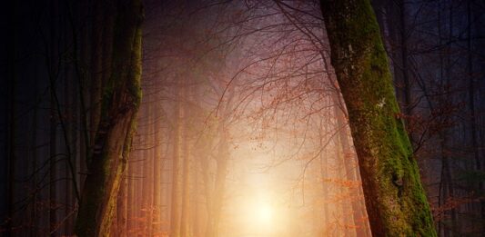 Jak zrobić tanie oświetlenie do akwarium?