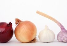 Czy do pasztetu dodaje się cebulę?