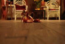 Dlaczego wycierają się pięty w butach?