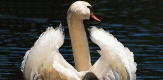 Ile czasu dziecko może siedzieć w foteliku?