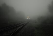 O co chodzi z CO2 w akwarium?