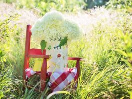 Od jakiego wieku Bujak BabyBjÖRN?