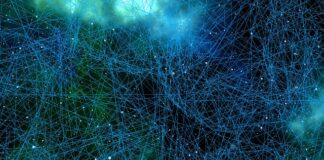 Co skutecznie zabija komórki rakowe?