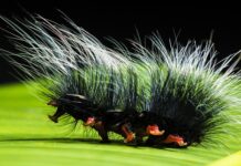 Czym jest zwinne zarządzanie projektami? Czym jest zwinne zarządzanie projektami?