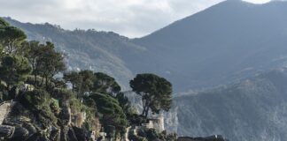 Ile kosztuje kurs akupunktury?