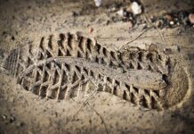 Co oznacza Ocena w Librusie? Co oznacza Ocena w Librusie?