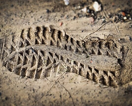 Co oznacza Ocena w Librusie?