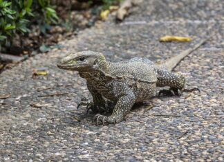 Czy można mieć dwa skierowania na rehabilitację? Czy można mieć dwa skierowania na rehabilitację?