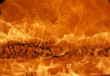 Jak budować markę na LinkedIn?