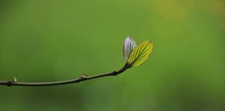 Co to są sprinty? Co to są sprinty?