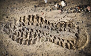 Czy ocena pracy nauczyciela to to samo co ocena dorobku zawodowego? Czy ocena pracy nauczyciela to to samo co ocena dorobku zawodowego?