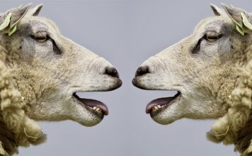 Na czym polega dyskusja?